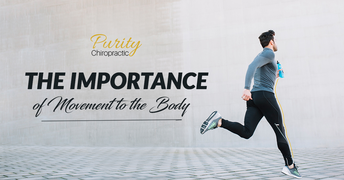 The Importance of Movement to the Body